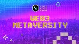 Yielf Guild Games Web3 Metaversity